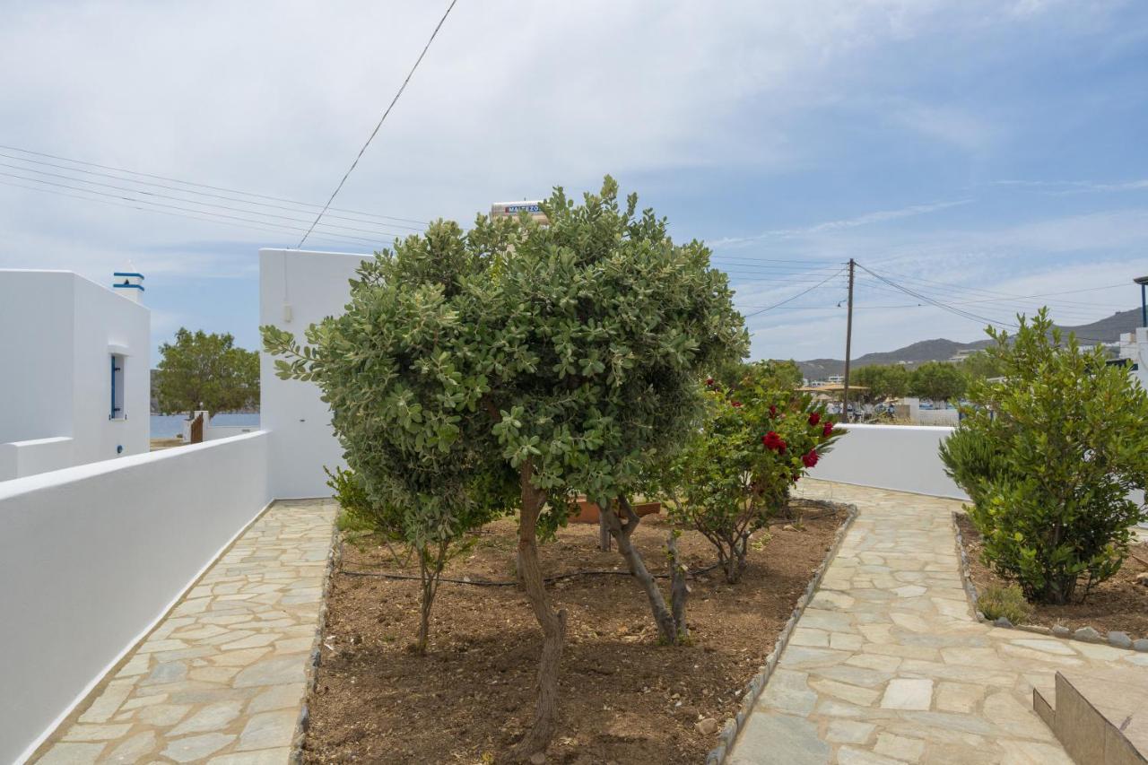 Studios Ninemia Serifos 5 Livadi  Esterno foto